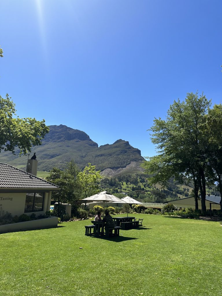A 10 Day Solo Travel Guide in South Africa: From Work to Wanderlust solo travel south Africa
