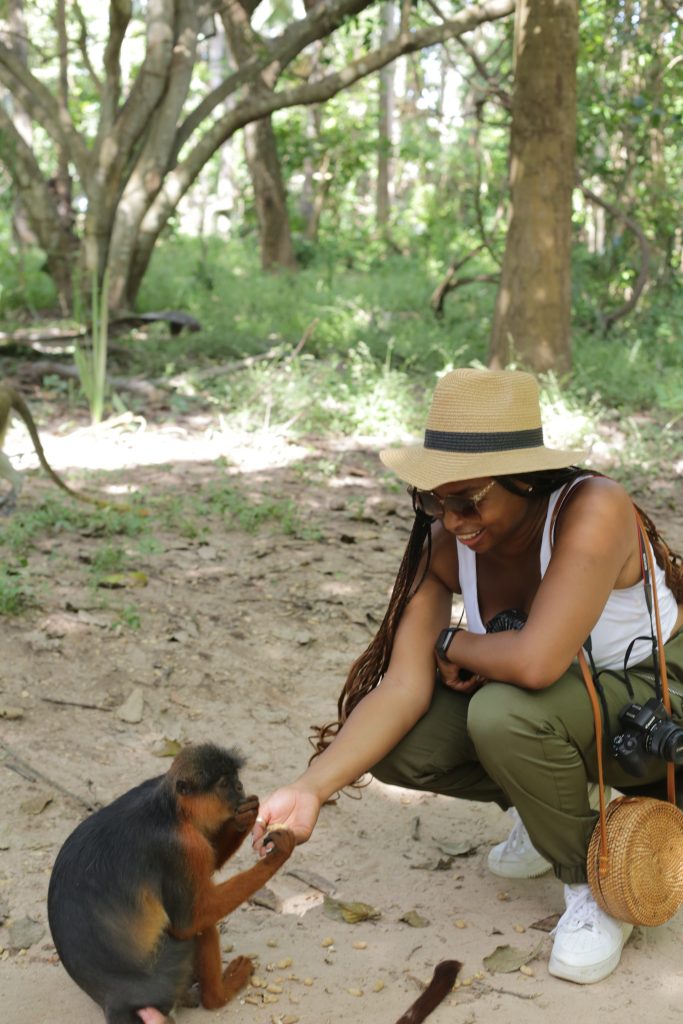 Travel Guide for The Gambia