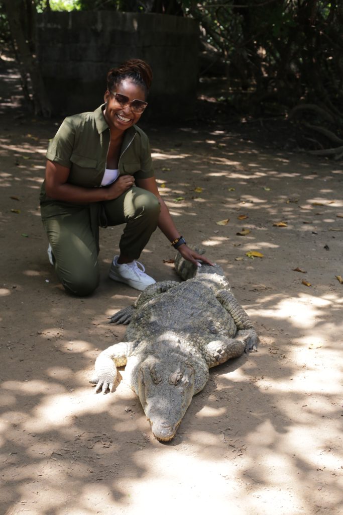 Travel Guide for The Gambia