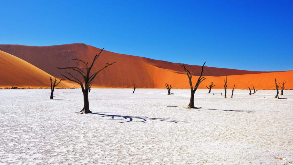 My 2026 Travel Wishlist: I’m Dreaming of Visiting These Countries 2026 Travel Wishlist