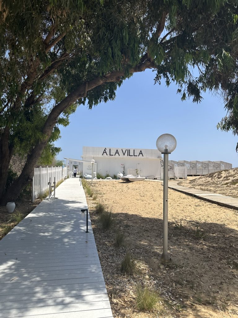 An Amazing Solo Travel Guide for Tunisia: Through a Diplomat’s Eyes solo female travel tunisia
