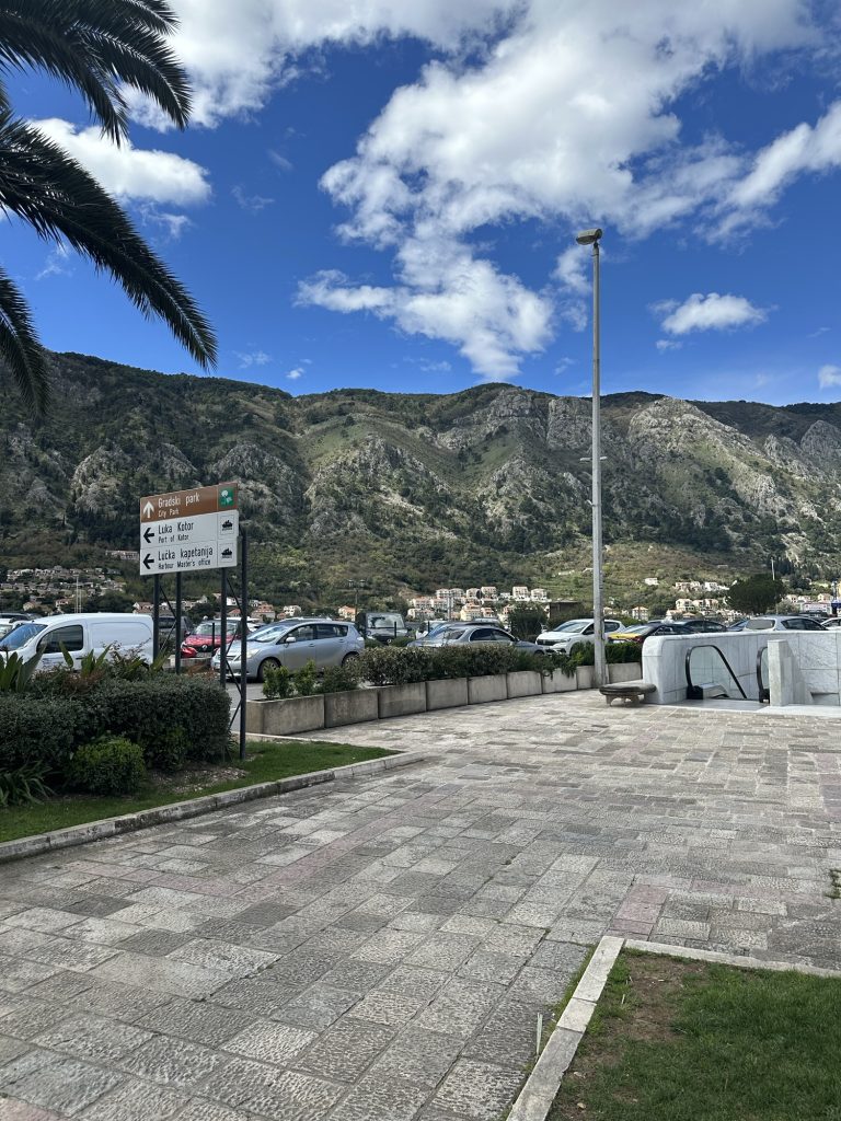 img 7824