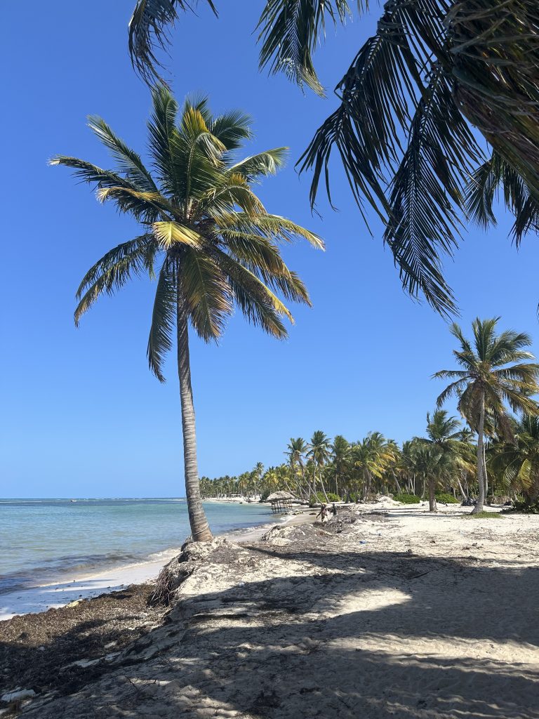 Dominican Republic Travel Guide: Amazing Things to Do in 5 Days IMG 7181