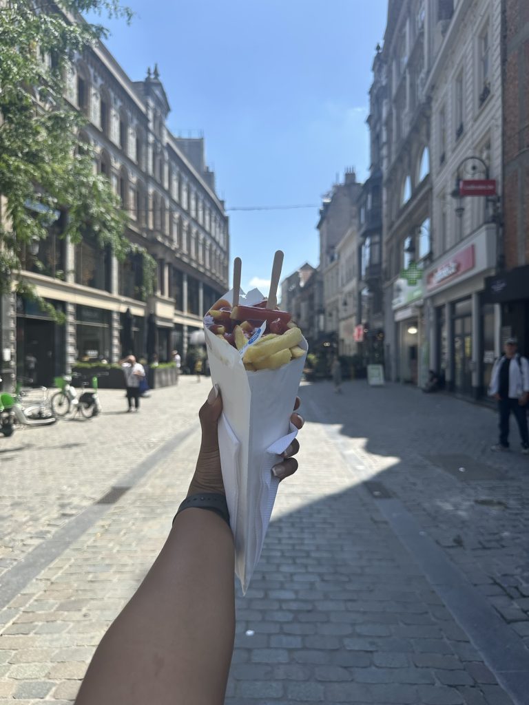 Bored in Brussels for 48 Hours: What to See, Do and Where to Stay img 0712