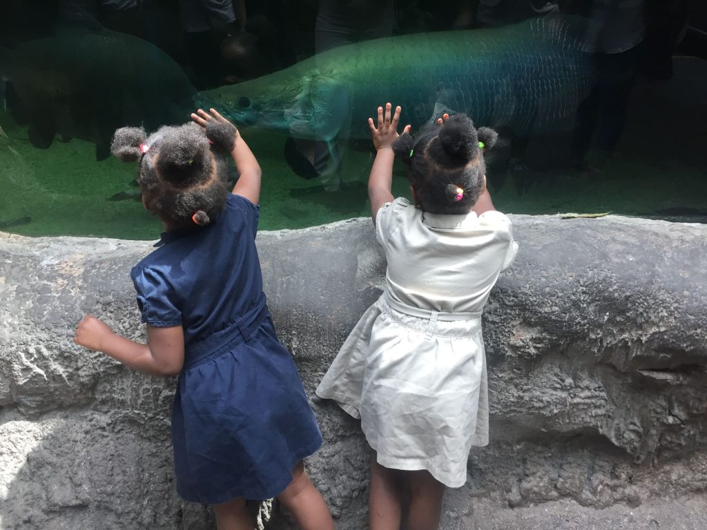 Exploring New Orleans: The Amazing French Quarters, Food & Family New Orleans with family