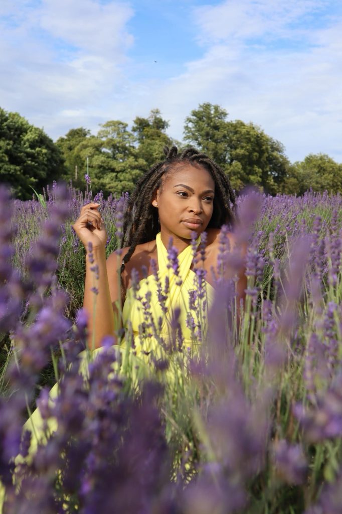 mayfield lavender