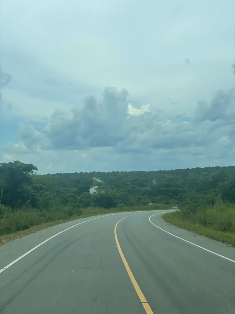 img 2526