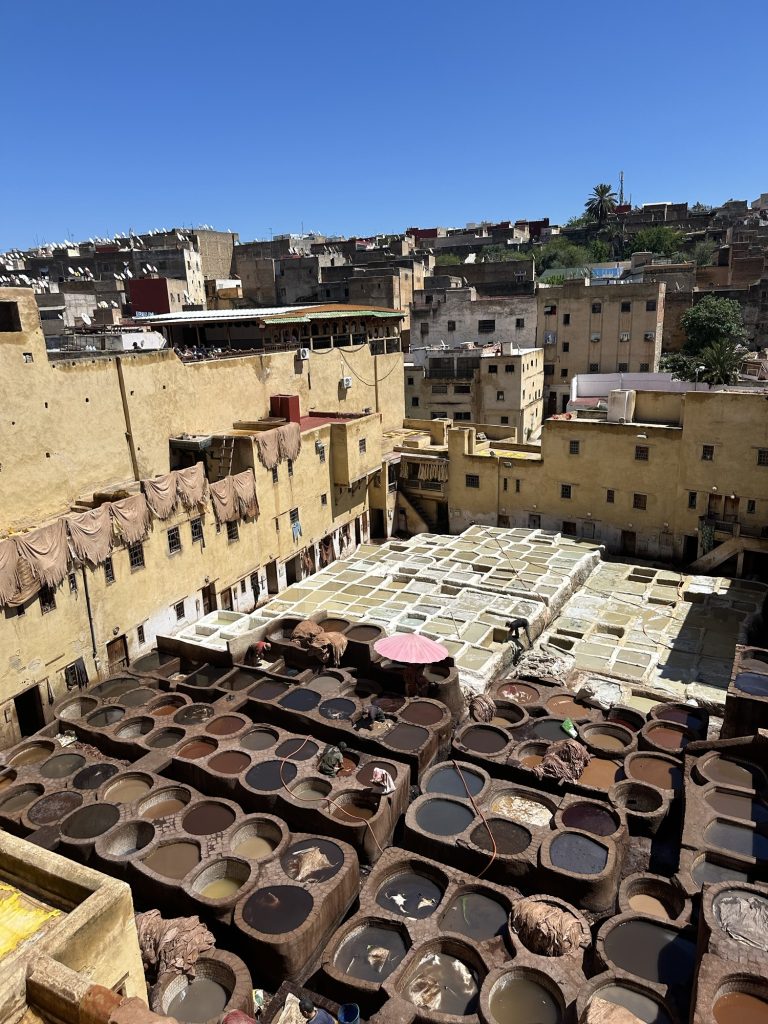 5 Amazing Things to Know and Do in Fes Morocco Chouara Tannery