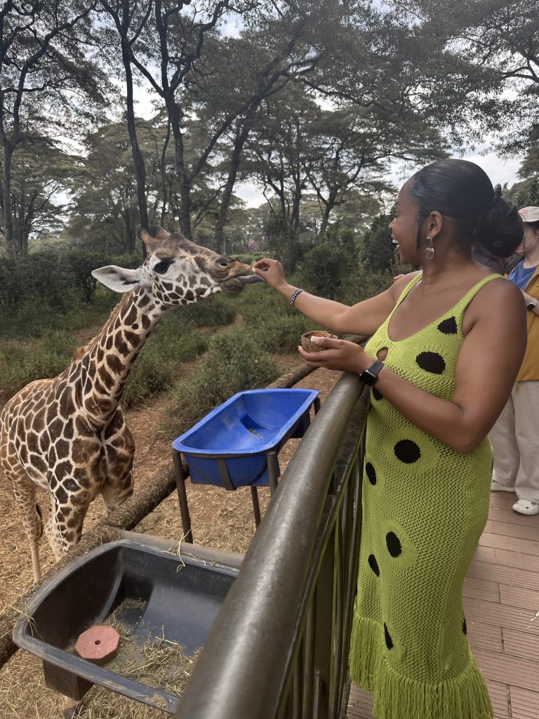 feeding giraffes in Kenya 
