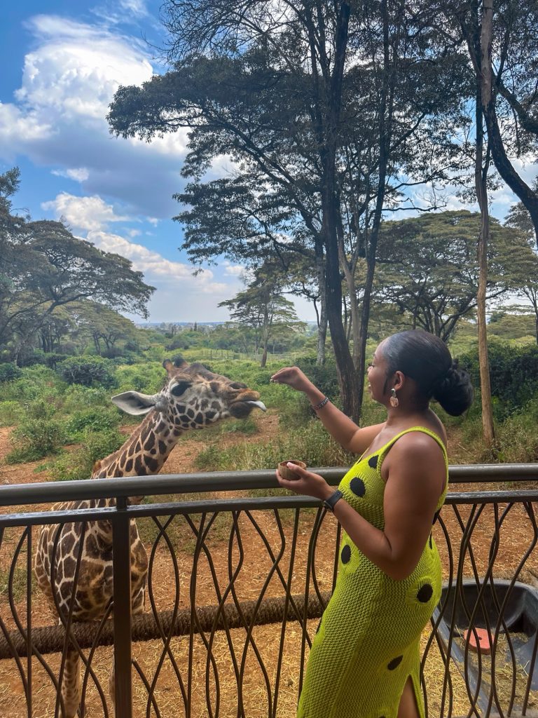 feeding giraffes in Nairobi
