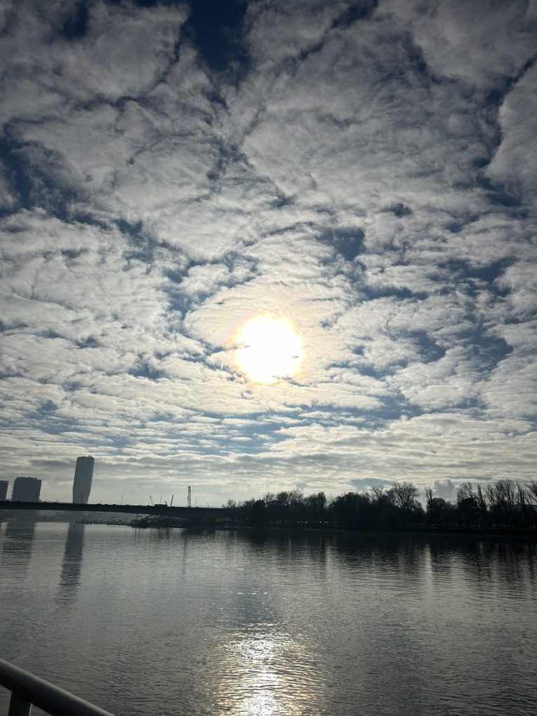 img 9378
