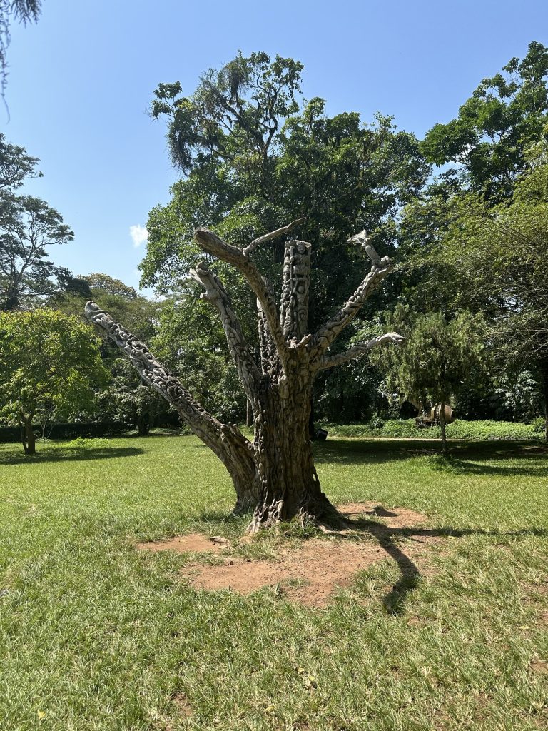 img 0528