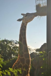 Sydney on a Student Budget: How to Explore Australia Cheaply img 1440