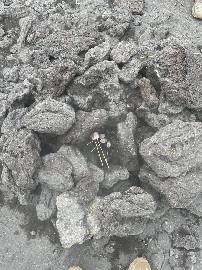 img 2559