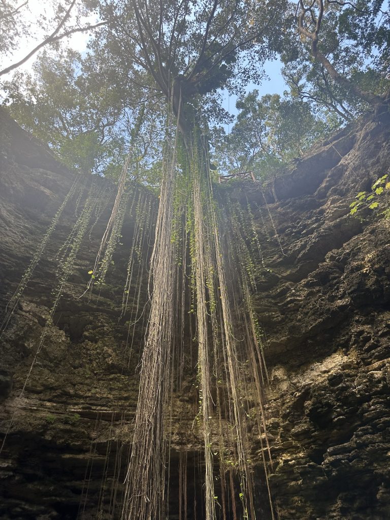 How to Get From Cancun to Chichén Itzá: A Special World Wonder beautiful cenote