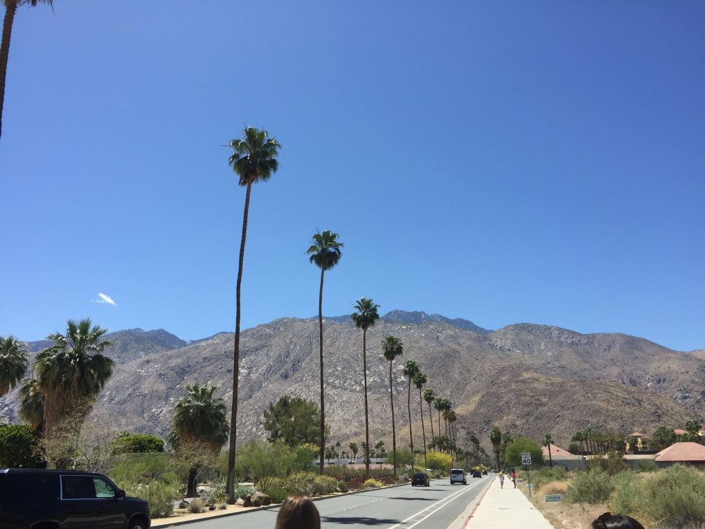 coachella guide