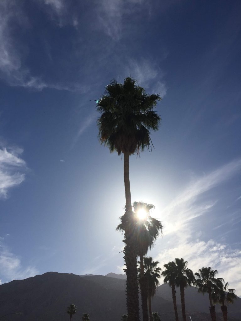 coachella tips for first timers