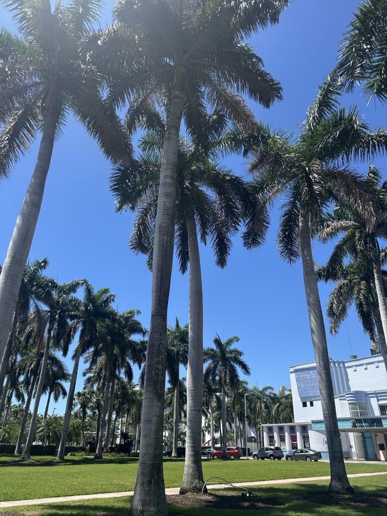 Millions Conference 2026: Is It Worth It for Travel Creators? img 5250