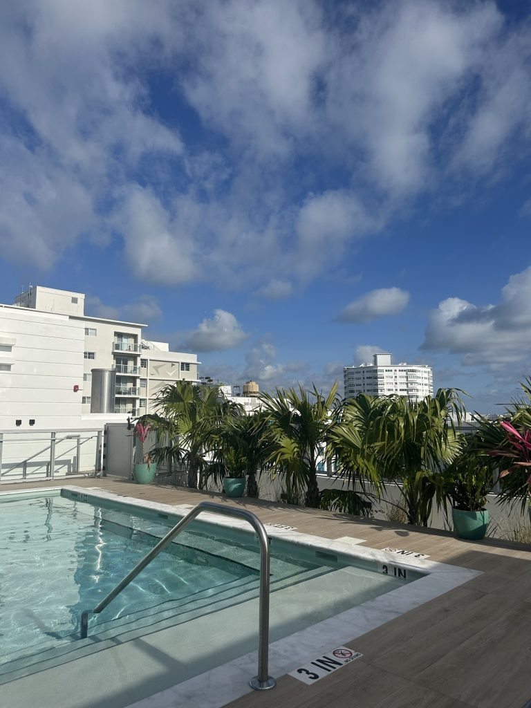 First Time in Miami? Here's Everything You Need to Know for 5 Days img 5340