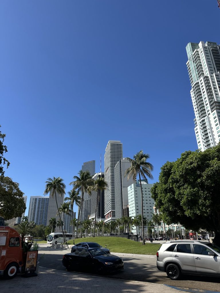 First Time in Miami? Here's Everything You Need to Know for 5 Days img 5373