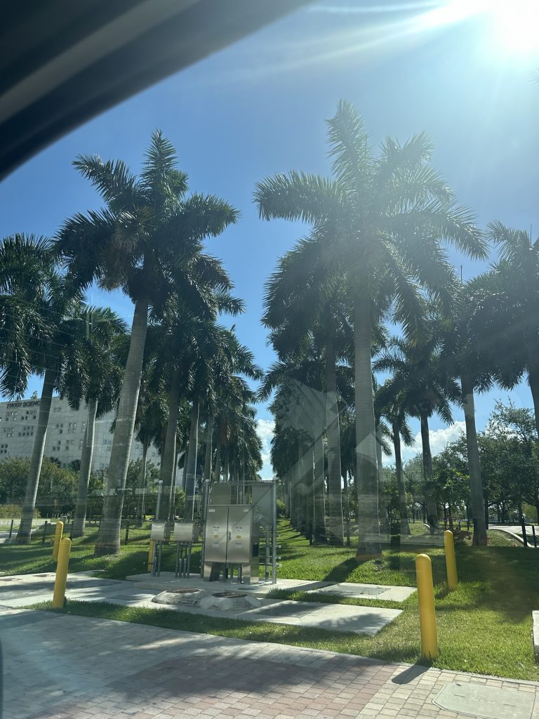 First Time in Miami? Here's Everything You Need to Know for 5 Days img 5386