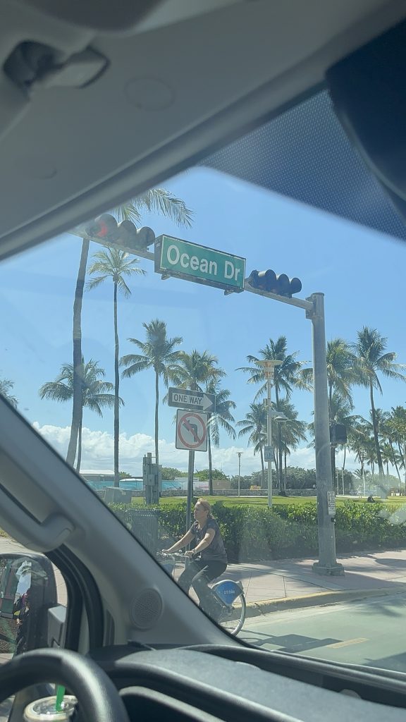 First Time in Miami? Here's Everything You Need to Know for 5 Days img 5394