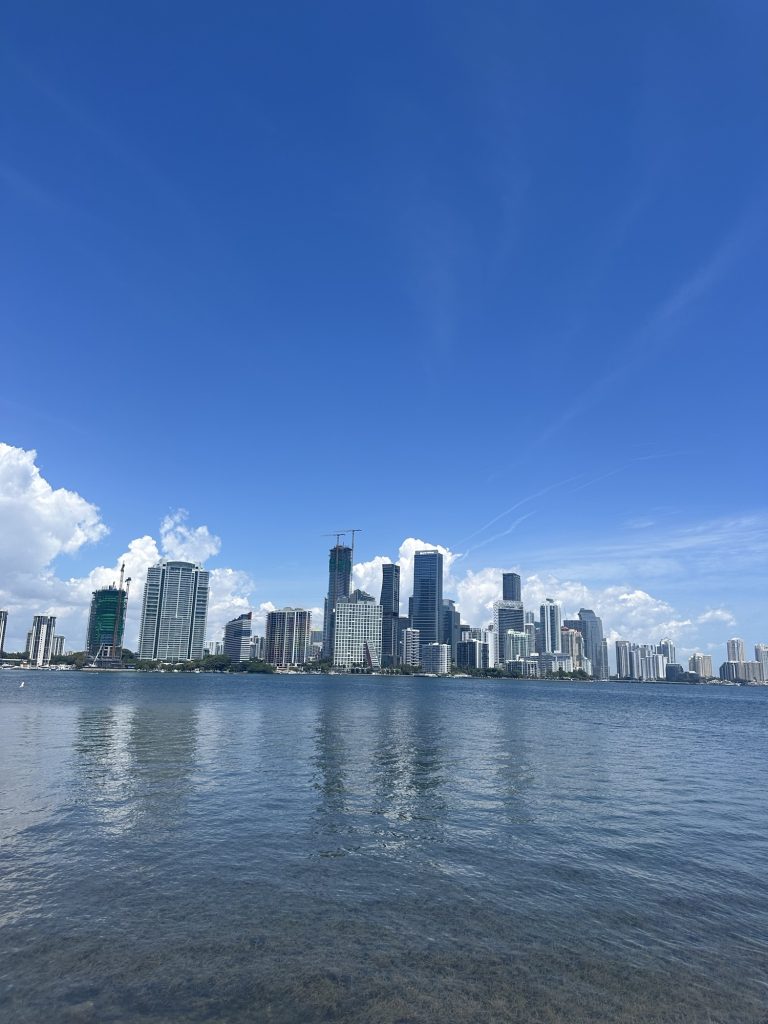 First Time in Miami? Here's Everything You Need to Know for 5 Days img 5464