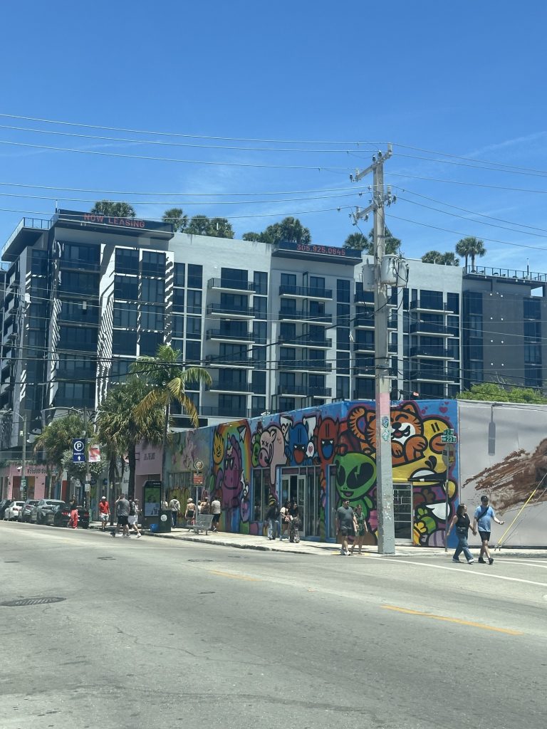 First Time in Miami? Here's Everything You Need to Know for 5 Days img 5520