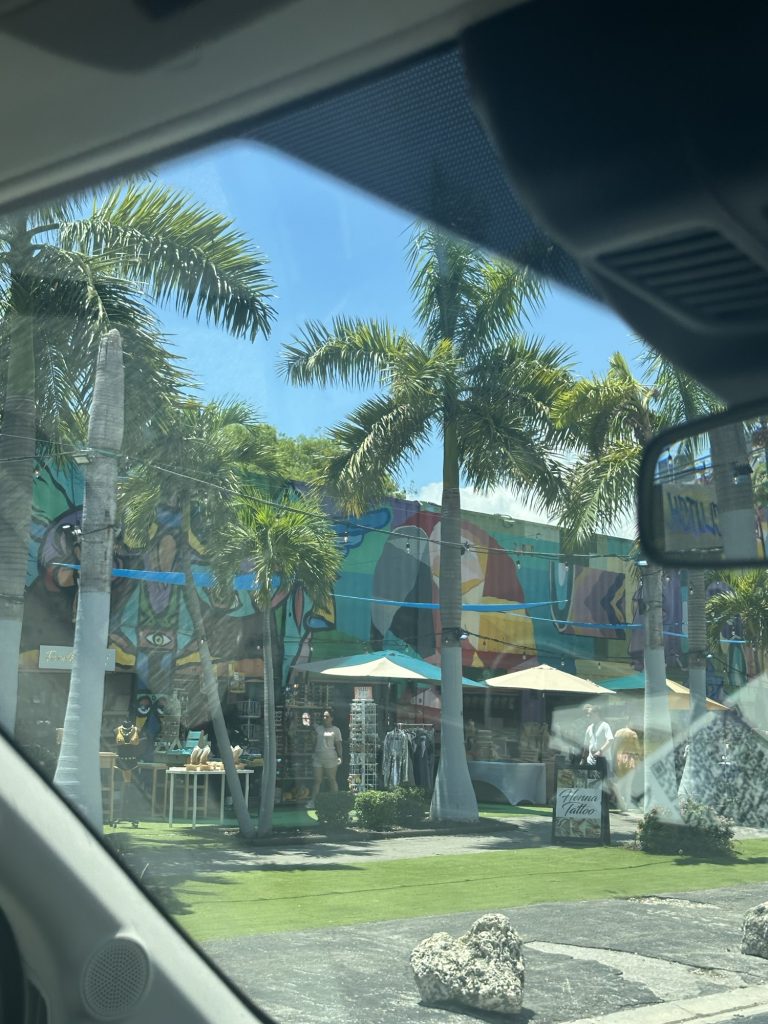 First Time in Miami? Here's Everything You Need to Know for 5 Days img 5522