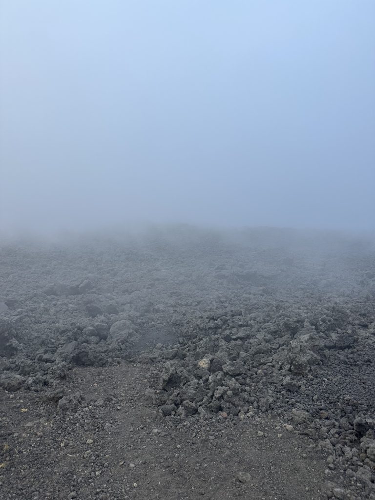 img 2552