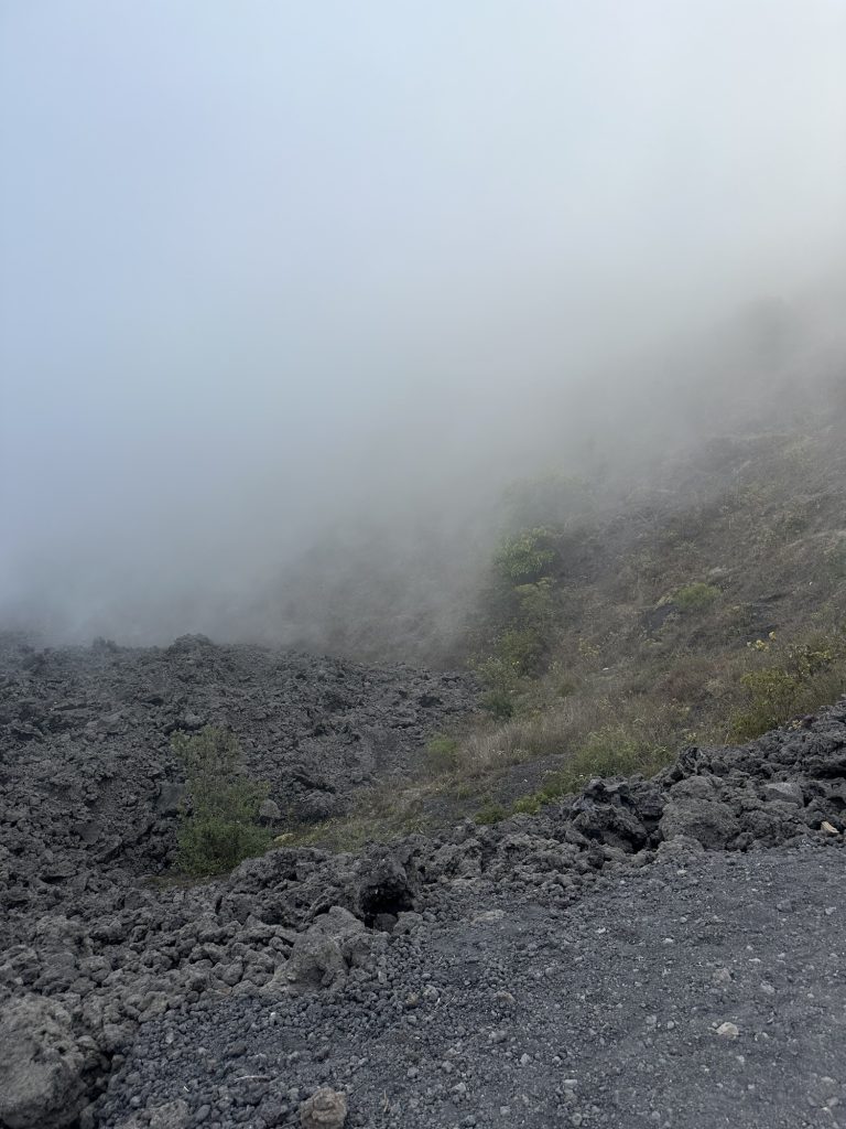 img 2556