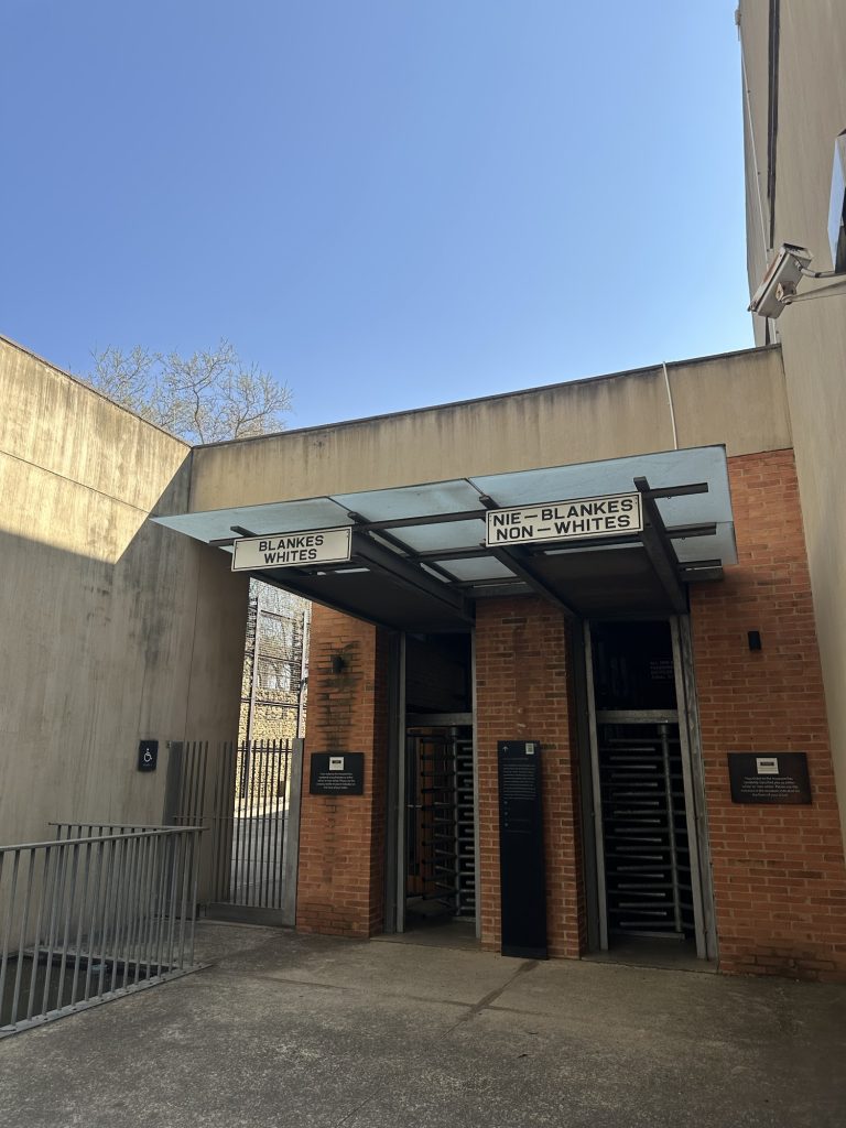 The Ultimate Johannesburg in Just 1 Day Guide: Stay, Eat & Joy img 9370