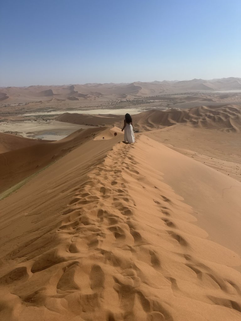 2 Days in Sossusvlei and Deadvlei Namibia Guide: Dune 45, Big Daddy & More img 9772