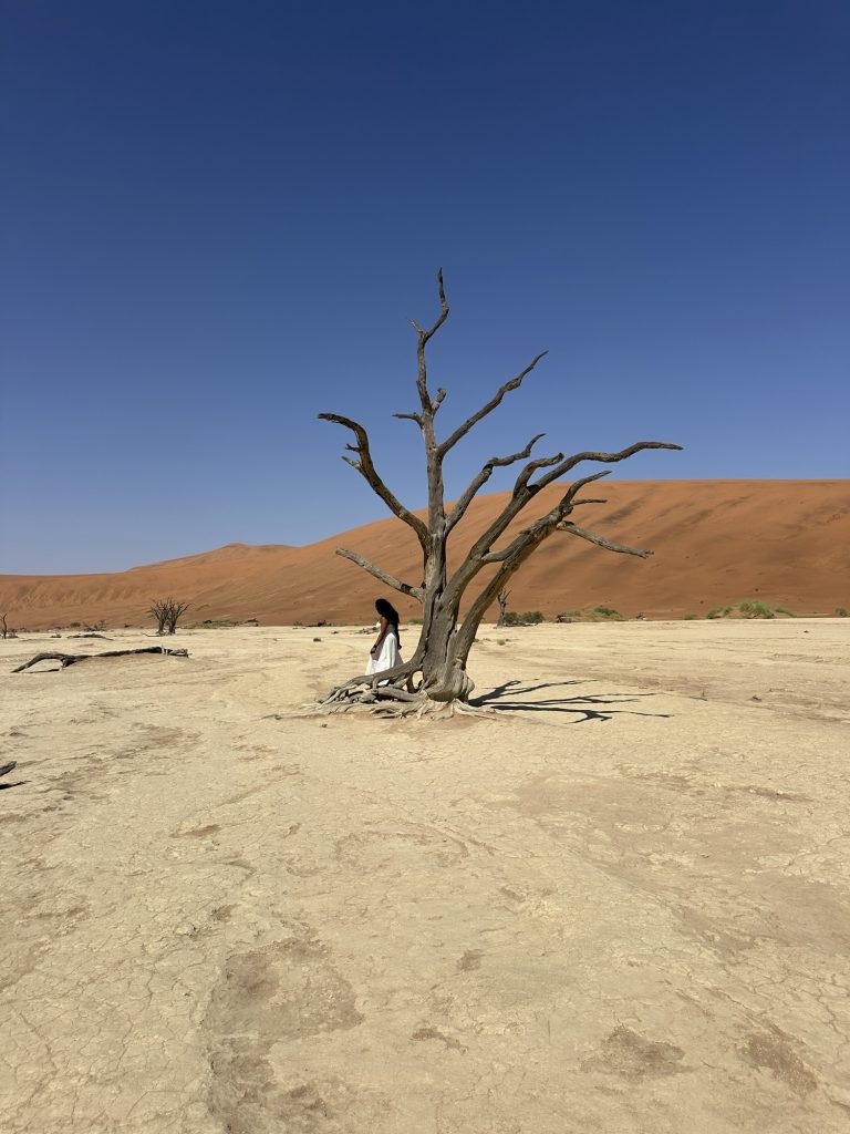 2 Days in Sossusvlei and Deadvlei Namibia Guide: Dune 45, Big Daddy & More deadvlei solo