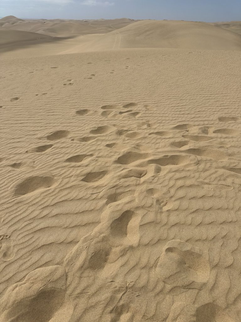 img 0566