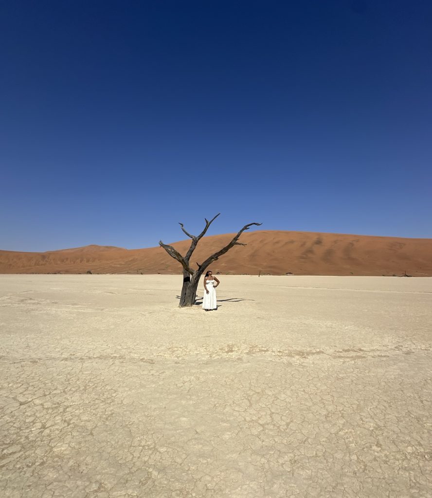 2 Days in Sossusvlei and Deadvlei Namibia Guide: Dune 45, Big Daddy & More img 9883 e1791404115256